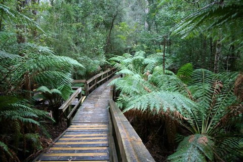 Small-group DayTour From Hobart: Hastings Caves, Huon Valley And Tahune AirWalk - ACT Tourism 0