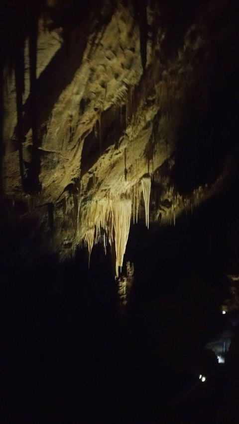 Small-group DayTour From Hobart: Hastings Caves, Huon Valley And Tahune AirWalk - ACT Tourism 7