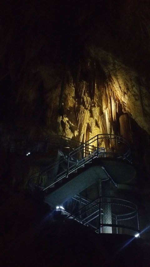 Small-group DayTour From Hobart: Hastings Caves, Huon Valley And Tahune AirWalk - ACT Tourism 4