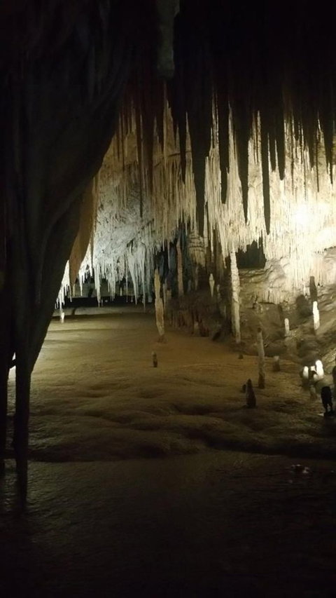 Small-group DayTour From Hobart: Hastings Caves, Huon Valley And Tahune AirWalk - ACT Tourism 8