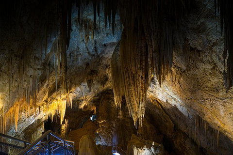 Small-group DayTour From Hobart: Hastings Caves, Huon Valley And Tahune AirWalk - ACT Tourism 19