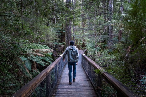 Small-group DayTour From Hobart: Hastings Caves, Huon Valley And Tahune AirWalk - ACT Tourism 11