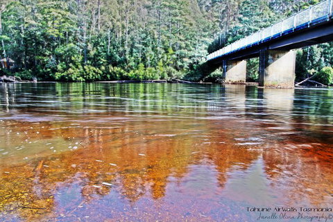 Small-group DayTour From Hobart: Hastings Caves, Huon Valley And Tahune AirWalk - ACT Tourism 17