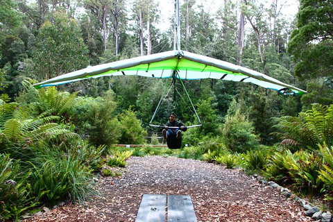 Small-group DayTour From Hobart: Hastings Caves, Huon Valley And Tahune AirWalk - ACT Tourism 10