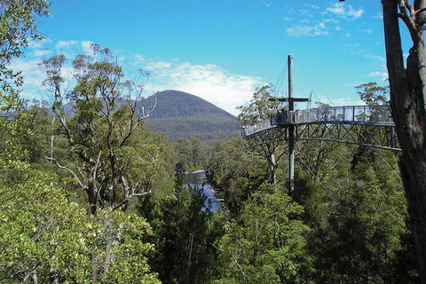 Small-group DayTour From Hobart: Hastings Caves, Huon Valley And Tahune AirWalk - ACT Tourism 9