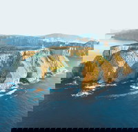 3-Hour Tasman Peninsula Wilderness Cruise from Port Arthur - ACT Tourism