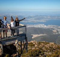 Mt Field National Park Active Day-Trip Including Bonorong and Mt Wellington - ACT Tourism