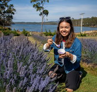 Port Arthur and Lavender Farm Active Day Tour - ACT Tourism
