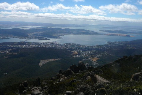 Mt Wellington Tour And MONA Admission - ACT Tourism 15
