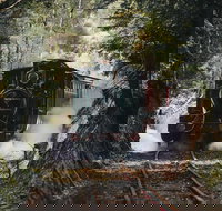 West Coast Wilderness Railway River and Rainforest from Strahan - ACT Tourism