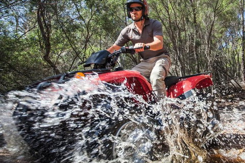 Half-Day Guided ATV Exploration Tour From Coles Bay - ACT Tourism 1