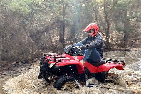 Half-Day Guided ATV Exploration Tour From Coles Bay - ACT Tourism 7