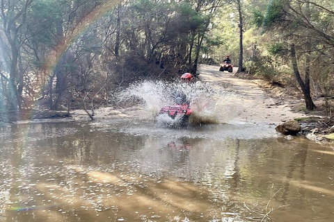 Half-Day Guided ATV Exploration Tour From Coles Bay - ACT Tourism 3