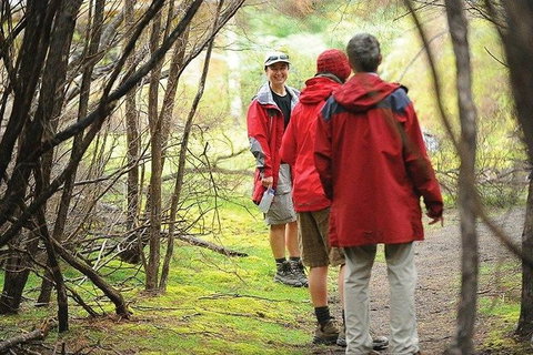 Great Walks Of Australia: 4-Day Freycinet Experience Walk - ACT Tourism 7