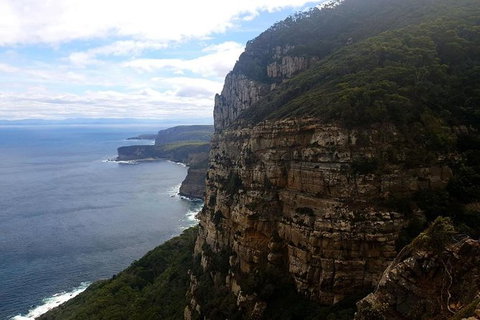 2-Day: Hobart Hiking Tour: Cape Raoul And Mount Field - Tarn Shelf - ACT Tourism 7