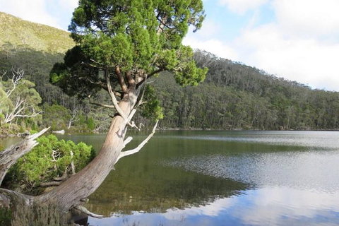 2-Day: Hobart Hiking Tour: Cape Raoul And Mount Field - Tarn Shelf - ACT Tourism 3