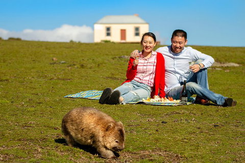 Wineglass Bay And Maria Island Wildlife Scenic Flight From Hobart - ACT Tourism 0