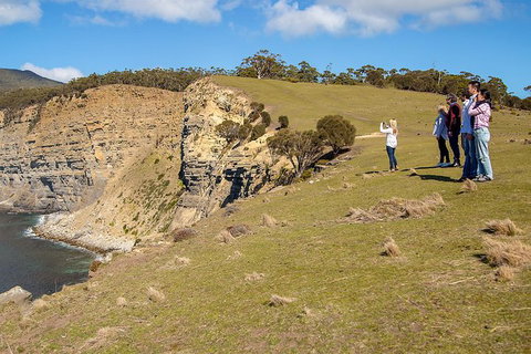 Wineglass Bay And Maria Island Wildlife Scenic Flight From Hobart - ACT Tourism 5