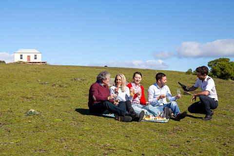 Wineglass Bay And Maria Island Wildlife Scenic Flight From Hobart - ACT Tourism 6