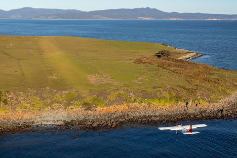Wineglass Bay And Maria Island Wildlife Scenic Flight From Hobart - ACT Tourism 10