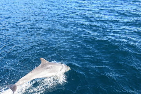 Twilight Sail Bruny Island - ACT Tourism 3