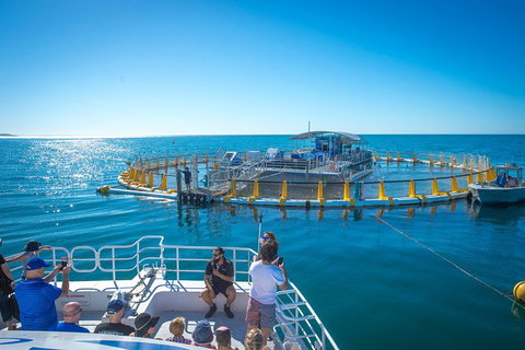 2 Hour Aquarium Tour - ACT Tourism 0