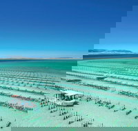 Coffin Bay Private Day Tour from Port Lincoln - A Taste of Coffin Bay - ACT Tourism