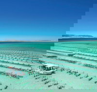 Coffin Bay Day Tour - A Taste of Coffin Bay - ACT Tourism