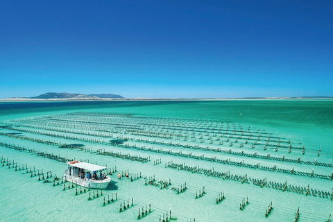 Coffin Bay Day Tour - A Taste Of Coffin Bay - ACT Tourism 2