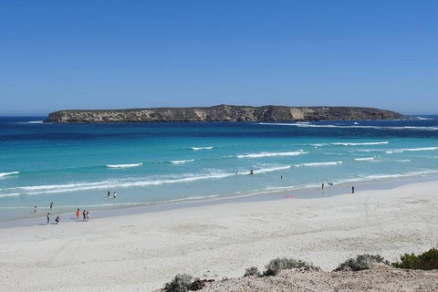 Coffin Bay Day Tour - A Taste Of Coffin Bay - ACT Tourism 12