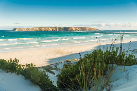 Coffin Bay Day Tour - A Taste Of Coffin Bay - ACT Tourism 13