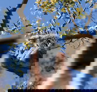 Exceptional Port Lincoln Seafood and Wildlife Tour - ACT Tourism