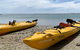 Half-Day Kayaking Tour In Coorong National Park - thumb 3