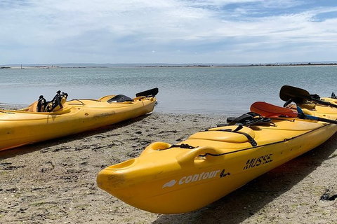 Half-Day Kayaking Tour In Coorong National Park - ACT Tourism 3