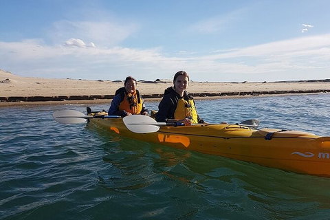Half-Day Kayaking Tour In Coorong National Park - ACT Tourism 5