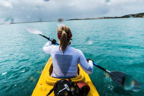 Half-Day Kayaking Tour In Coorong National Park - ACT Tourism 7