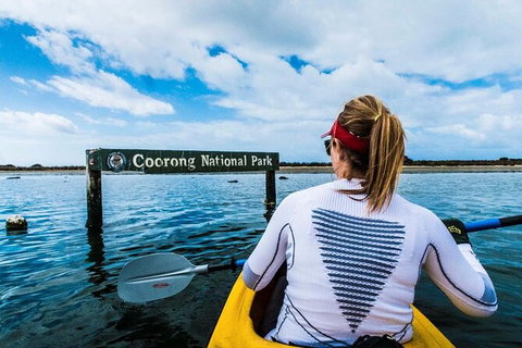 Half-Day Kayaking Tour In Coorong National Park - ACT Tourism 4