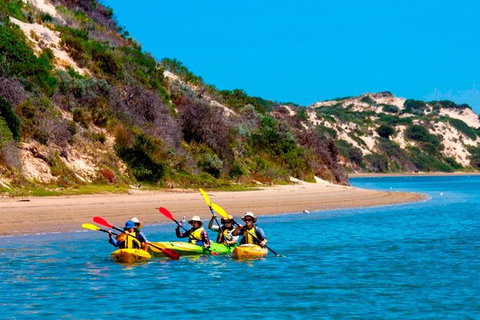 Half-Day Kayaking Tour In Coorong National Park - ACT Tourism 2