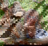 One Day Port Lincoln Tour - Tasting Eyre - ACT Tourism