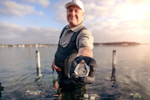 Oyster Farm And Tasting Tour With Hotel Pick-up And Return From Port Lincoln - ACT Tourism 3