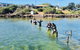 Oyster Farm And Tasting Tour With Hotel Pick-up And Return From Port Lincoln - thumb 6