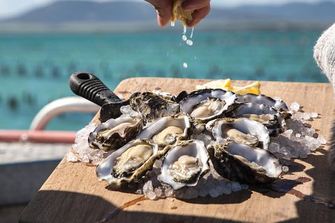 Experience Coffin Bay Short And Sweet Oyster Farm Tour - ACT Tourism 0