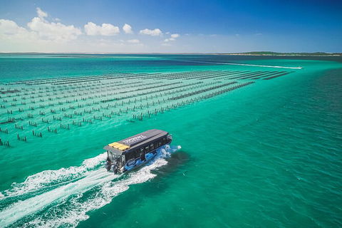 Experience Coffin Bay Short And Sweet Oyster Farm Tour - ACT Tourism 2