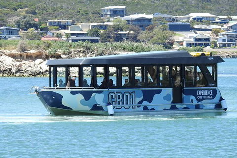 Experience Coffin Bay Short And Sweet Oyster Farm Tour - ACT Tourism 9