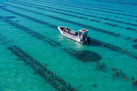 Experience Coffin Bay Short And Sweet Oyster Farm Tour - ACT Tourism 7