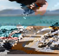 Experience Coffin Bay Oyster Farm and Bay Tour - ACT Tourism