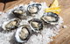 Experience Coffin Bay Oyster Farm And Bay Tour - thumb 3