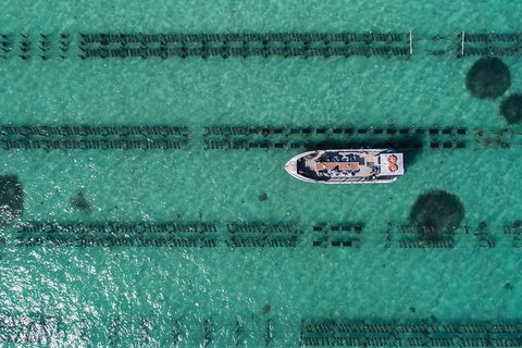 Experience Coffin Bay Oyster Farm And Bay Tour - ACT Tourism 4