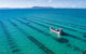 Experience Coffin Bay Oyster Farm And Bay Tour - thumb 10