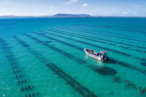Experience Coffin Bay Oyster Farm And Bay Tour - ACT Tourism 10